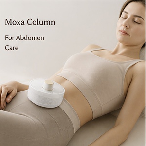 Colonne de Moxa d'Armoise Pure Vieillie Personnalisable pour Réchauffement des Méridiens et Soulagement des Douleurs Articulaires, Lombaires et des Épaules, Certifiée CE - Product Image 4