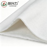 Géotextile non tissé aiguilleté à chaud WSL pour le renforcement des talus routiers et le remplissage des routes