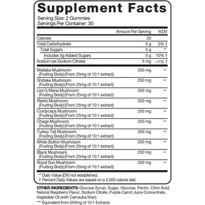 OEM Private Label Vegan Lions Mane Mushroom <b>Gummies</b> Focus & Memory Brain Supplement for Adults for Women - Product Image 2