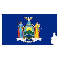 Drapeau de New York imprimé 3x5 pieds, simple face, style fanion, logo personnalisé, en vinyle polyester durable pour affichage national