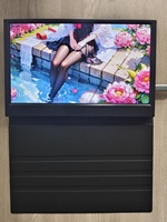 OEM/ODM tragbarer Einbild-Monitor 1080P tragbarer Laptop-Monitor für PS4 PS5-Spiel 11,6-Zoll-IPS-Monitor für Laptops