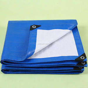 Bâche industrielle en PE bleue <span class=keywords><strong>anti</strong></span>-<span class=keywords><strong>grêle</strong></span> traitée <span class=keywords><strong>anti</strong></span>-UV, résistante à l'eau, pour couverture de voiture - Grande Vente - Product Image 6