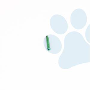 Implante Quirúrgico Veterinario Ortopédico con Tornillo de Bloqueo AO de 1.6mm, 2.4mm, 3.2mm, 4.0mm para Procedimientos de Fijación Ósea en Animales - Product Image 5
