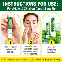 Stik Aromaterapi Nasal Revitalisasi Penyejuk Dingin Ekstrak Botani Pabrik, Pelepas Hidung Tersumbat Instan dengan Aroma Eucalyptus dan Wild Mint