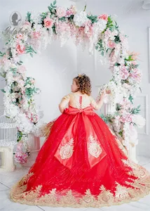 Rosso Puffy Tulle principessa oro Appliques delaminazione abiti da ragazza fiore fiocco lungo spettacolo festa di nozze Mini palla Quinceanera - Product Image 4