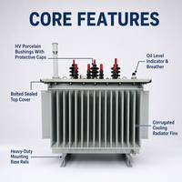 Transformateur de puissance immergé dans l'huile à enroulement en cuivre CRGO triphasé Wanbo-275 OEM personnalisé S11 200 kVA 10 kV 0,4 kV