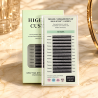 Extensions de cils véganes faites à la main, 12 rangées, noir mat, cils individuels 8-15mm, plateau à base de feuille, vente en gros, marque privée, personnalisable
