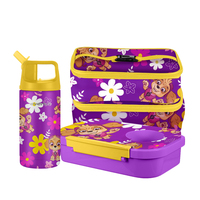 Populaire de haute qualité 450ml boîte à lunch en plastique en acier inoxydable bouteille d'eau ensembles de gros pour enfants école camping en plein air
