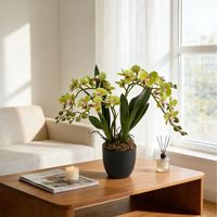Harga Grosir Murah Dekorasi Meja Desain Interior Anggrek Plastik Bonsai Dekorasi Rumah Kantor Hotel Bunga Anggrek Buatan