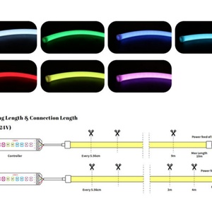 ไฟนีออน LED RGB 360 องศา กันน้ำ IP65 ขนาดเส้นผ่านศูนย์กลาง 22 มม. แบบกลม ซิลิโคน LED สำหรับโคมไฟระย้า แสงสว่างสำหรับตกแต่งภูมิทัศน์ ค่า CRI สูง 90 รับประกัน 3 ปี - Product Image 4