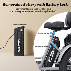 Triciclo da Carico Elettrico di Alta Qualità 2025 Hidoes T2 250w 750w con Batteria al Litio Bici Elettrica Pieghevole Fat Bike Risciò Elettrico - Product Image 4