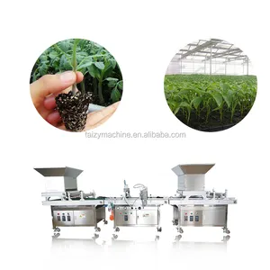 Fábrica preço frutas e vegetais semeadura máquina semente bandeja máquina
