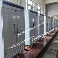 Congélateur commercial à deux grandes portes pleines, réfrigérateur vertical professionnel, congélateur à double porte pleine avec compartiment inférieur (DOE)
