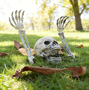 Decorazione per Halloween: Set di Mani di Teschio in Plastica, Artigli di Scheletro Simulati per Casa Stregata e Uso Esterno - Product Image 2