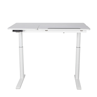 Table d'étude d'étudiant bureau réglable bureau debout électrique simple double moteur