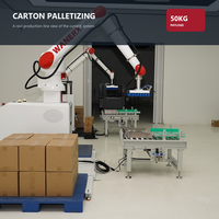 Lengan Palletizing Akhir Jalur (End of Line) 50kg dengan Vacuum Cup untuk Pengiriman Karton dan Penumpukan Gudang