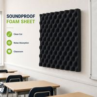 Feuille de mousse insonorisante de haute qualité à découpe nette pour l'absorption du bruit, idéale pour les entrepreneurs en aménagement intérieur de salles de classe