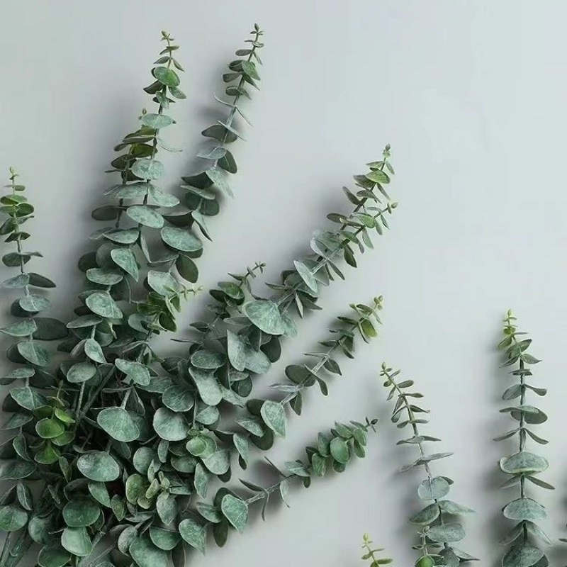 [with grass] eucalyptus 10 stems