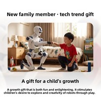 Robot humanoïde R1 26 DOF AI bipède ultra-léger en alliage, programmable, interaction vocale IA, éducation et divertissement