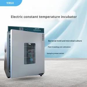 Incubadora Eléctrica de Acero Inoxidable Antibacteriana Yirui DHP500, 1 Temperatura, Control de Humedad 5-8% RH, 1000W, para Laboratorio - Product Image 3