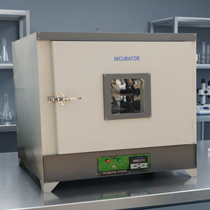 Incubadora Bacteriológica con Alimentación de 230V CA y Fluctuación de Temperatura de 0.1 Grados - Product Image 2