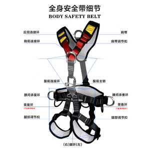 Harnais de sécurité complet à cinq points avec anneaux en D en acier inoxydable, longueur réglable, capacité de 250 kg, pour travaux en altitude - Product Image 4