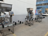 Machine de remplissage automatique de pompe à sauce tomate/mayonnaise/miel en acier inoxydable 316 à une tête