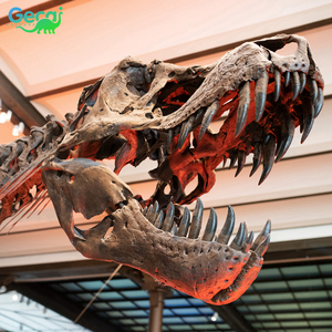Gecai khủng long công viên khủng long hóa thạch thực T Rex Skeleton để bán - Product Image 4