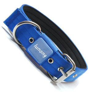 Collar Ajustable para Perro Personalizable con Hebilla Metálica, Cinta de Nylon, Cintas Modernas y Logotipo a Color Personalizado, Duradero - Product Image 1