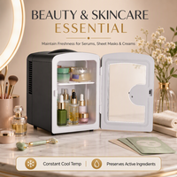 Mini-réfrigérateur portable 4L avec fenêtre transparente, thermoélectrique, pour voiture et maison, boissons, soins de la peau, cosmétiques, petit réfrigérateur
