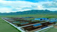 Establo para Ganado de Estructura de Acero Ligero de Instalación Rápida, Establo Prefabricado Moderno para Vacas