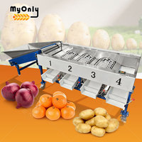 Blauwe bes sorteermachine, tomaten fruit sorteermachine, sinaasappel was- en sorteermachine te koop