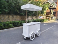 Chariot de vente ambulant multifonctionnel pour glaces et gelatos, chariot commercial pour snacks d'extérieur avec congélateur de présentation