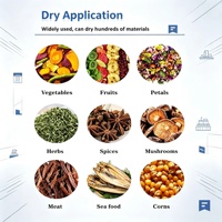 Séchoir à plateaux commercial à pompe à chaleur pour légumes (oignon, ail, gingembre, manioc, curcuma)