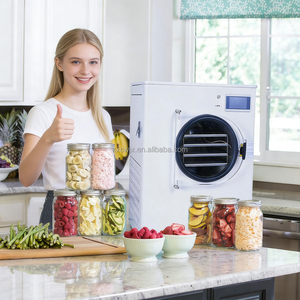 Secador por Congelación de Uso Doméstico de 10 kg <span class=keywords><strong>a</strong></span> 20 kg, Máquina de Secado por Congelación al Vacío Comercial para Dulces, Mariscos y Vegetales, con Certificación CE - Product Image 2