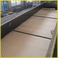 Clarificateur lamellaire pour eaux usées de tannerie de cuir 20m³/h pour l'élimination du chrome
