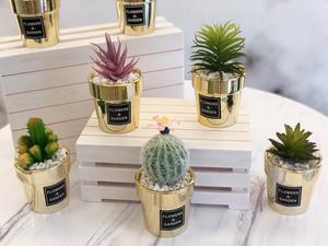Mini Simulation Plantes Succulentes Table En Pot Décoratif Plantes De <span class=keywords><strong>Cactus</strong></span> Artificielles VP-HL004 - Product Image 2