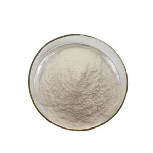 Fournisseurs de <span class=keywords><strong>Lactase</strong></span> : Enzyme <span class=keywords><strong>Lactase</strong></span> (Aspergillus Oryzae) 100 000 ALU/g - Product Image 4