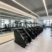 Escaladeur Commercial Électrique Professionnel pour Salle de Sport, Vente Directe Usine