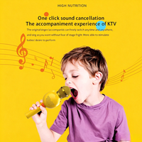 Microphone Karaoké Sans Fil pour Enfants avec Effets de Réverbération Intégrés, Entrée Audio Carte BT TF, Subwoofer