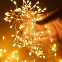 Märchenhafter Gartengerät Lichter wasserdichtes Feuerwerk Sternenhirn-Lichter für Decke Schlafzimmer Kranz Hochzeit Weihnachtsbaum
