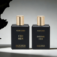 Fabricant de Parfums OEM/ODM de Luxe pour Hommes, 50ml 100ml, Cologne Originale, Brume Corporelle, Parfum Boisé Longue Durée