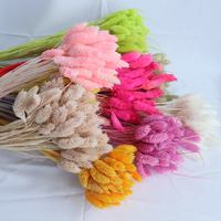 Pierres précieuses naturelles séchées, pièces, plantes colorées, pour la photographie, accessoires de décoration, pour bébé