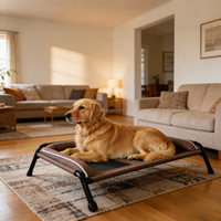 Tragbare Haustierbetten mit Rutschfesten Gummifüßen für Drinnen & Draußen 2-in-1 Erhöhtes Kühlbett für Große Hunde Erhöhter Hundeliegeplatz