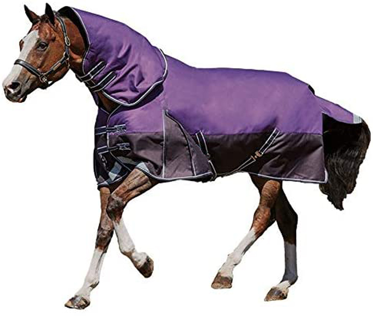 purple