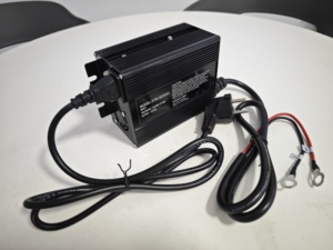 Cargador QD300C de 300w 14.7v 15a 29.4v 10a 24v 8a para Baterías de Plomo-Ácido y Litio para Sillas de Ruedas, Scooters e Industria - Product Image 6