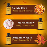 Collection Halloween : Coffret d'huiles essentielles 10 ml, mélange 100 % naturel, senteurs Pâté de pommes et Maïs sucré, pour diffuseur, fabrication de bougies, cadeau