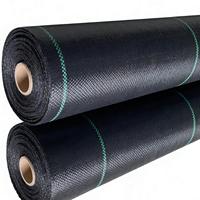 Toile géotextile noire en PP tissé, barrière anti-mauvaises herbes, tapis de contrôle des adventices, tissu paysager anti-vieillissement pour l'agriculture