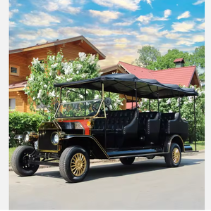Carrito de Golf Clásico Retro de Dos Filas y 8 Asientos para 6 Personas, Modelo 2026, en Oferta, para Turismo - Product Image 6