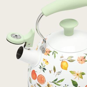 Tetera de Acero Inoxidable de 2.5L con Silbato, Color Personalizado, para Todo Tipo de Estufas, Venta al por Mayor de Fábrica - Product Image 6